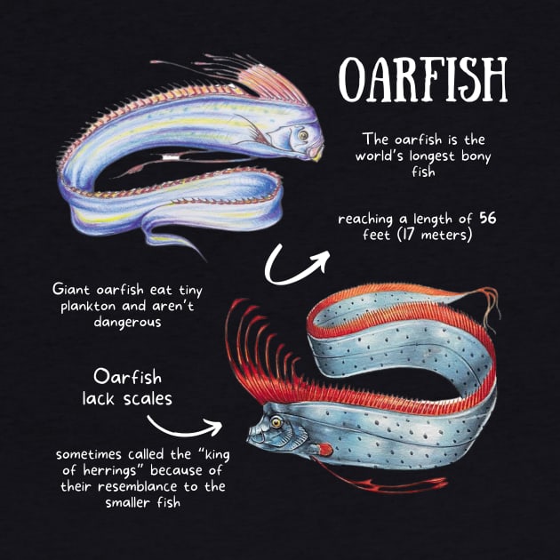 Animal Facts - Oar fish by Animal Facts and Trivias